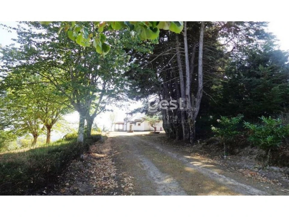 Negócio para Venda em Abrunhosa-A-Velha Foto 24