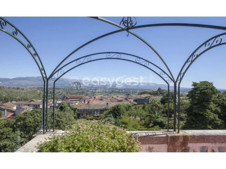 Negócio para Venda em Abrunhosa-A-Velha Foto 27