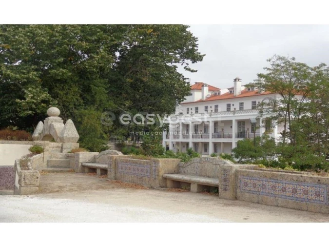 Negócio para Venda em Abrunhosa-A-Velha Foto 5