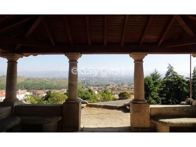 Negócio para Venda em Abrunhosa-A-Velha Foto 15