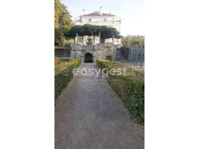 Negócio para Venda em Abrunhosa-A-Velha Foto 19