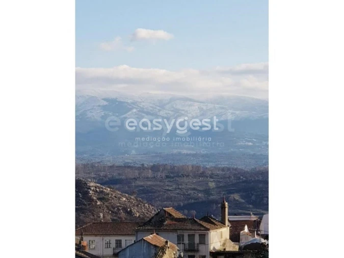 Negócio para Venda em Abrunhosa-A-Velha Foto 28