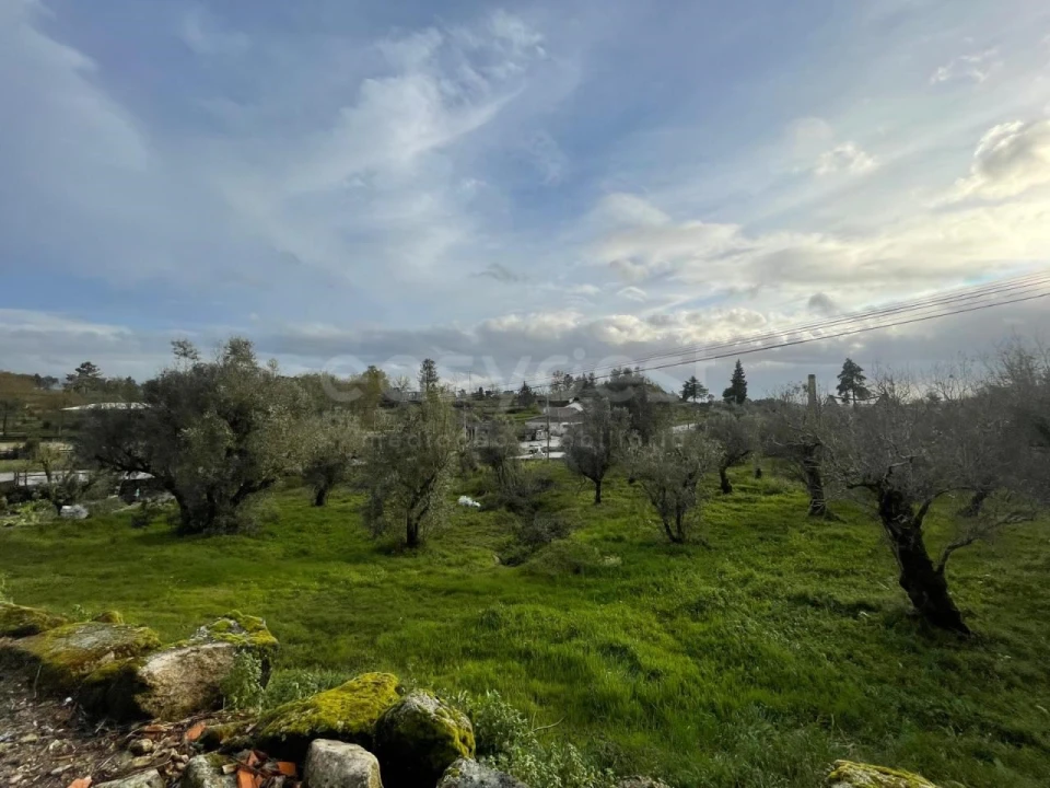 Moradia T2 para Venda em Abrunhosa-A-Velha Foto 37