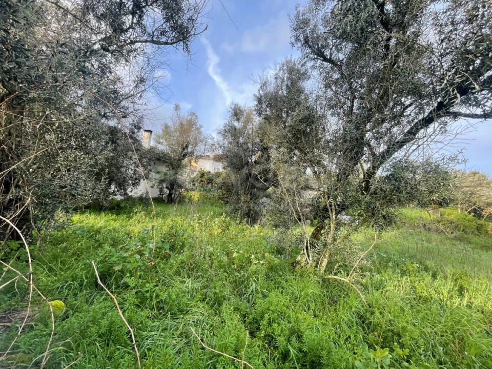 Moradia T2 para Venda em Abrunhosa-A-Velha Foto 38