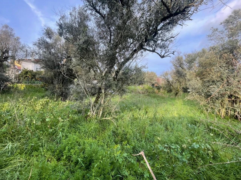 Moradia T2 para Venda em Abrunhosa-A-Velha Foto 39