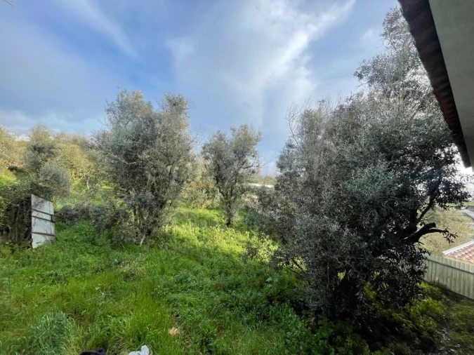 Moradia T2 para Venda em Abrunhosa-A-Velha Foto 33