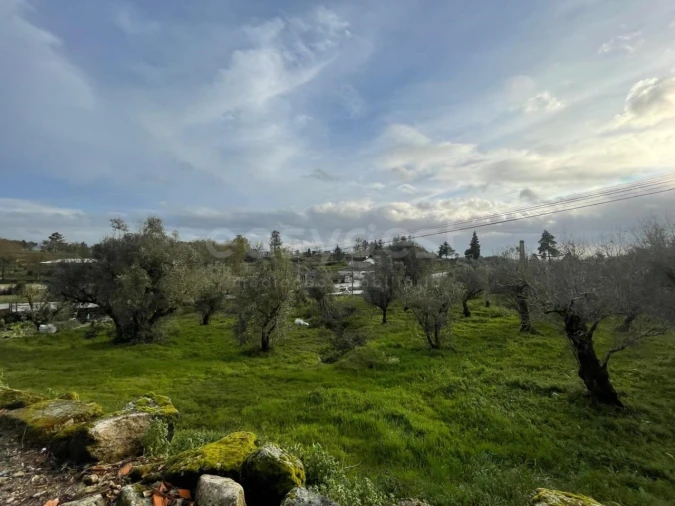 Moradia T2 para Venda em Abrunhosa-A-Velha Foto 37