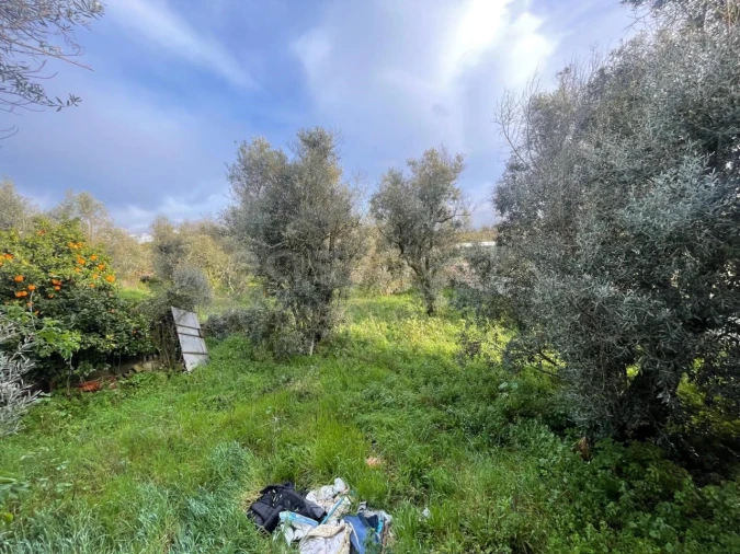 Moradia T2 para Venda em Abrunhosa-A-Velha Foto 42