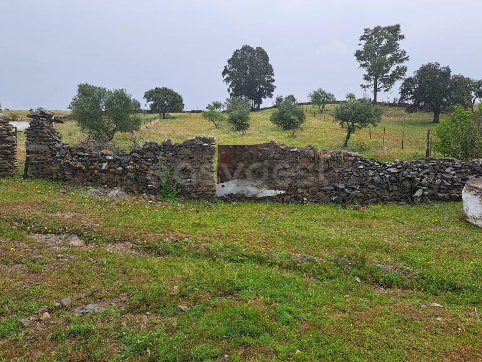 Terreno Agricola ou Rústico para Venda em Santana de Cambas Foto 4