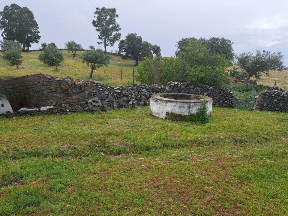 Terreno Agricola ou Rústico para Venda em Santana de Cambas Foto 6