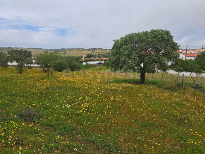 Terreno Agricola ou Rústico para Venda em Santana de Cambas Foto 2