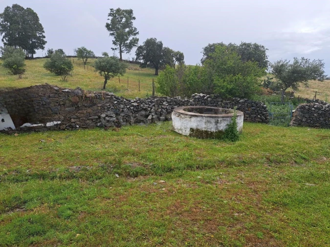 Terreno Agricola ou Rústico para Venda em Santana de Cambas Foto 6