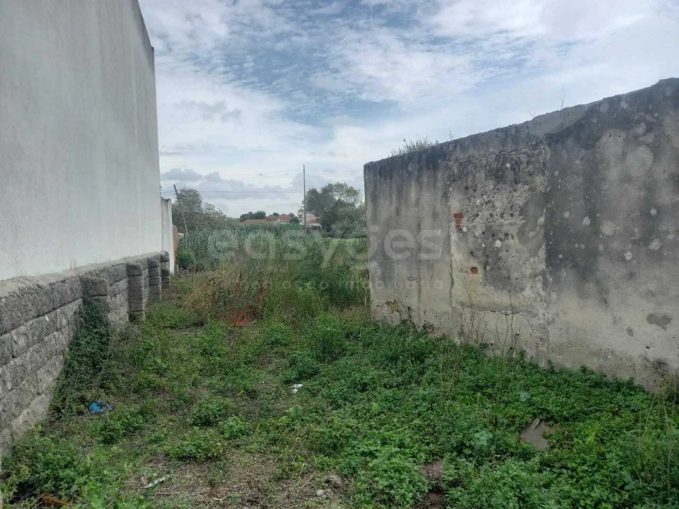 Terreno Misto para Venda em Marinha Grande Foto 5