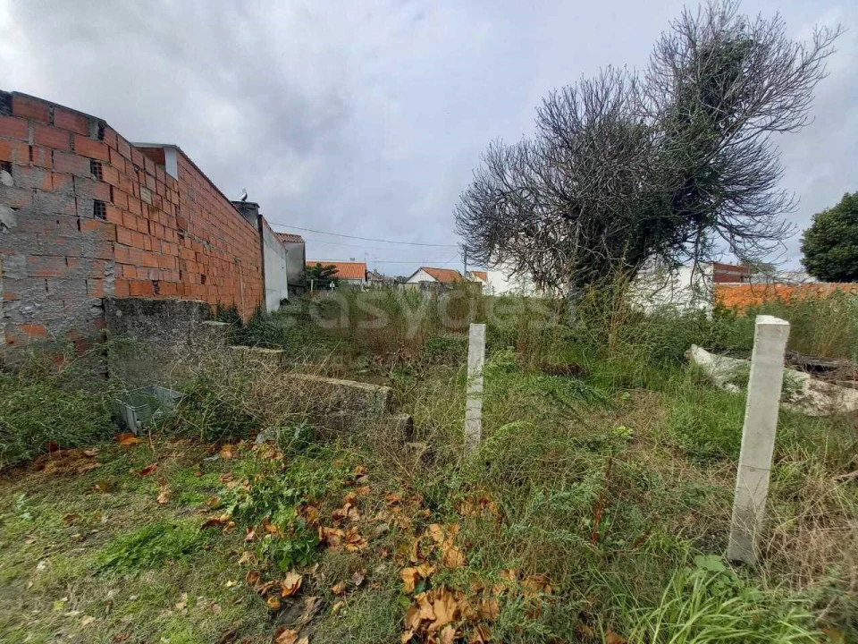 Terreno Misto para Venda em Marinha Grande Foto 9