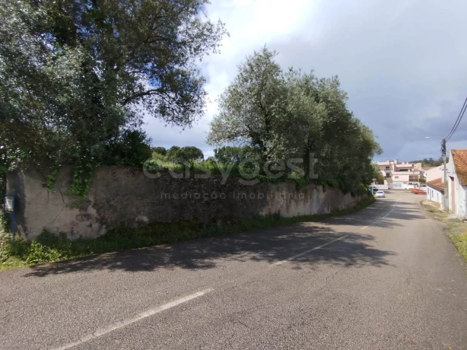 Terreno Agricola ou Rústico para Venda em Monte Real e Carvide Foto 1