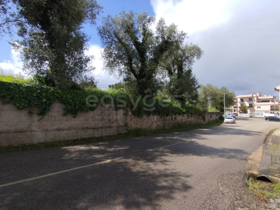 Terreno Agricola ou Rústico para Venda em Monte Real e Carvide Foto 2