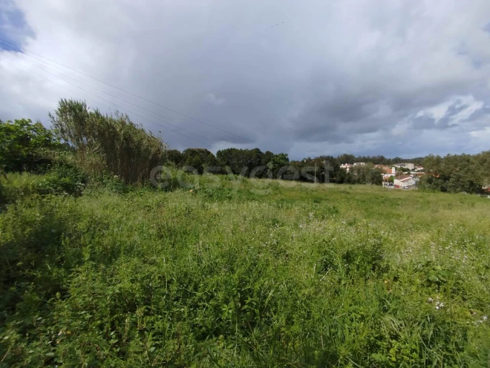 Terreno Agricola ou Rústico para Venda em Monte Real e Carvide Foto 4