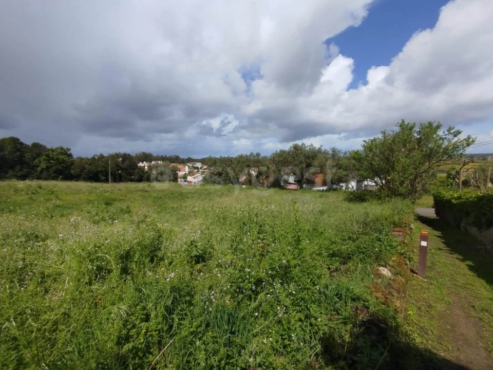 Terreno Agricola ou Rústico para Venda em Monte Real e Carvide Foto 5