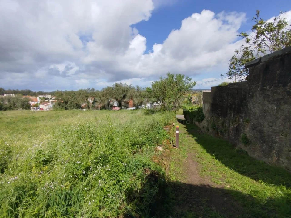 Terreno Agricola ou Rústico para Venda em Monte Real e Carvide Foto 6