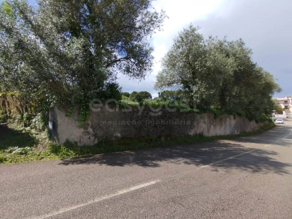 Terreno Agricola ou Rústico para Venda em Monte Real e Carvide Foto 10