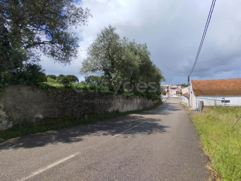 Terreno Agricola ou Rústico para Venda em Monte Real e Carvide Foto 11