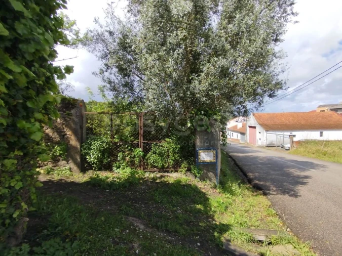Terreno Agricola ou Rústico para Venda em Monte Real e Carvide Foto 3