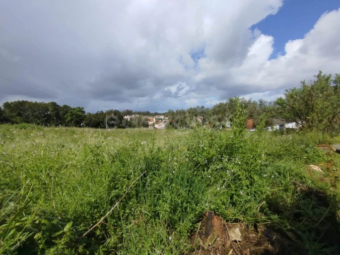 Terreno Agricola ou Rústico para Venda em Monte Real e Carvide Foto 7