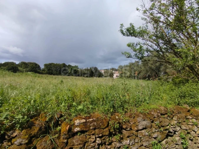 Terreno Agricola ou Rústico para Venda em Monte Real e Carvide Foto 9