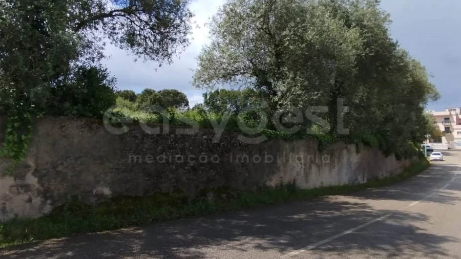 Terreno Agricola ou Rústico para Venda em Monte Real e Carvide