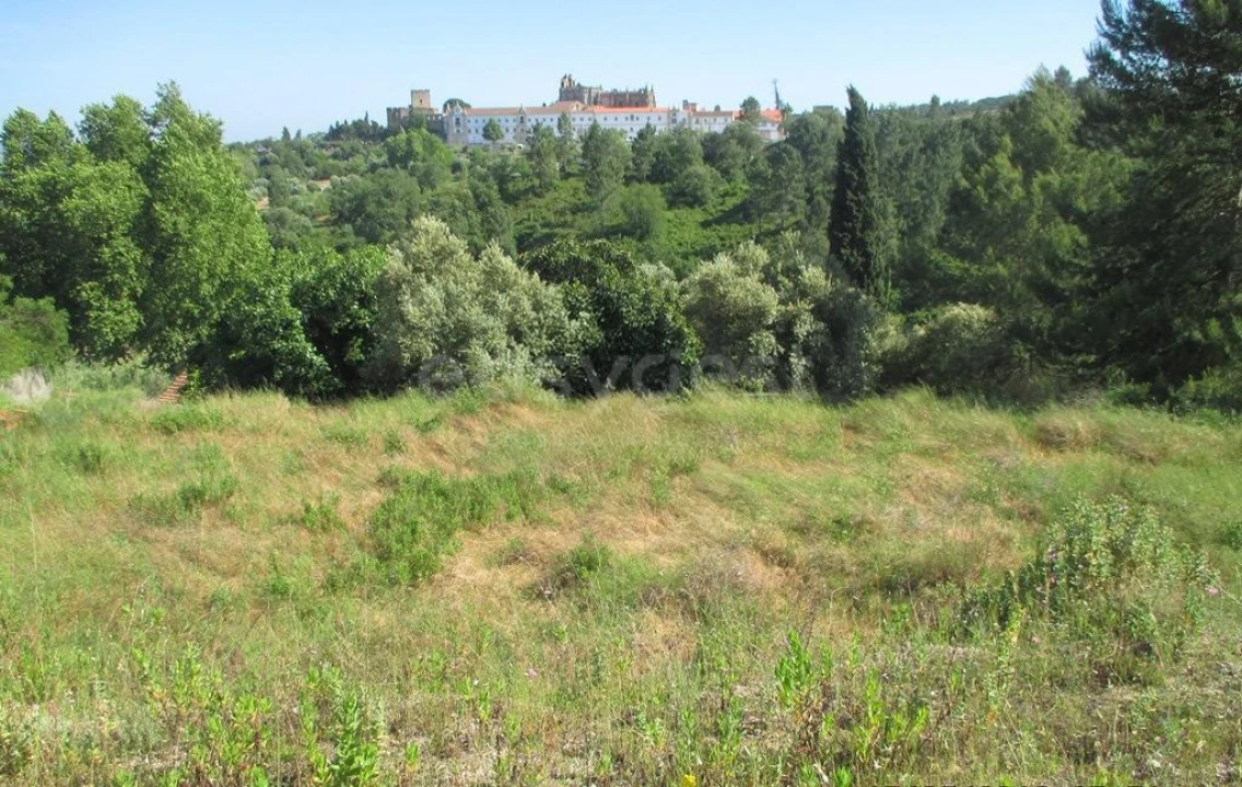 Terreno para Venda em São João Baptista e Santa Maria dos Olivais Foto 4