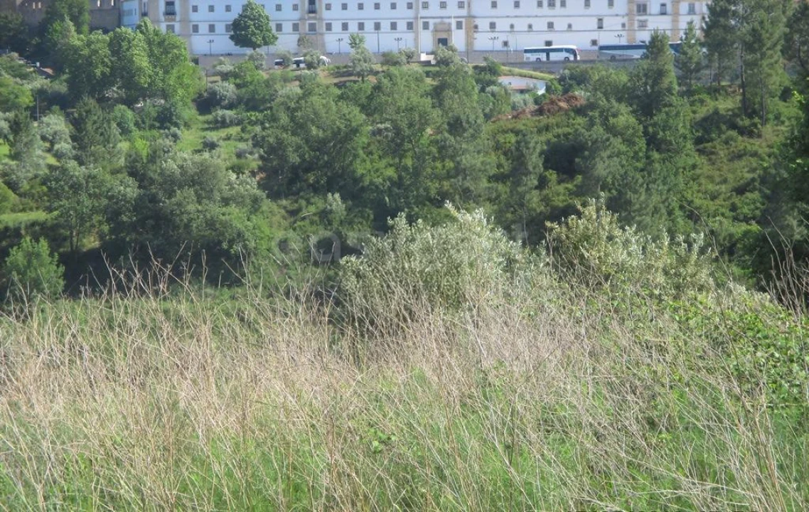 Terreno para Venda em São João Baptista e Santa Maria dos Olivais Foto 8