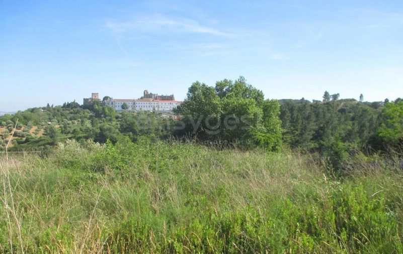 Terreno para Venda em São João Baptista e Santa Maria dos Olivais Foto 6