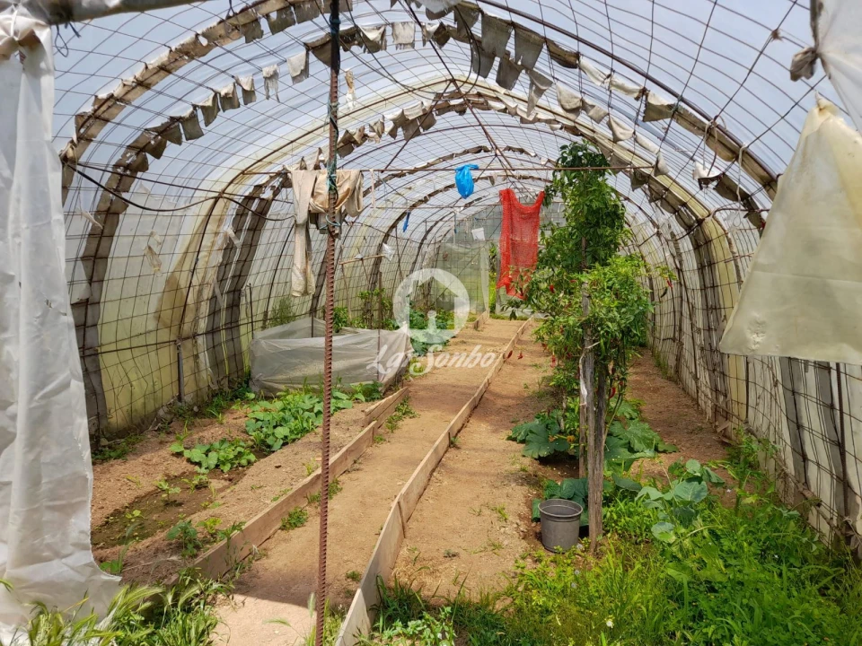 Moradia T5 para Venda em Bougado (São Martinho e Santiago) Foto 16