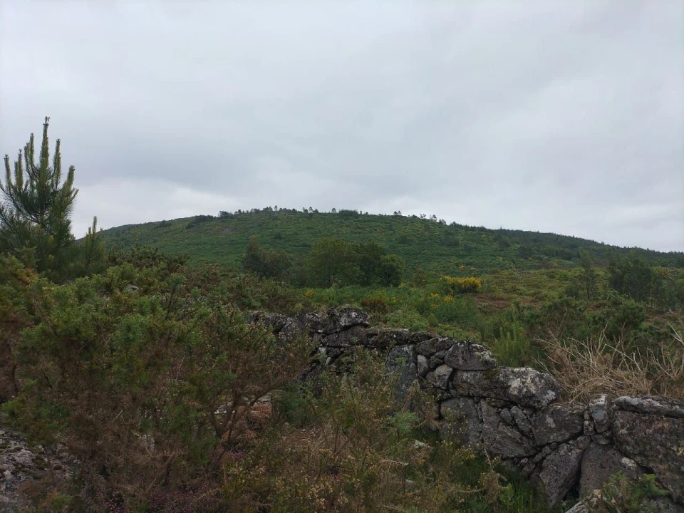 Terreno Agricola ou Rústico para Venda em Anjos e Vilar do Chão Foto 1