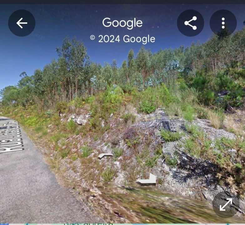 Terreno Agricola ou Rústico para Venda em Mosteiro Foto 2