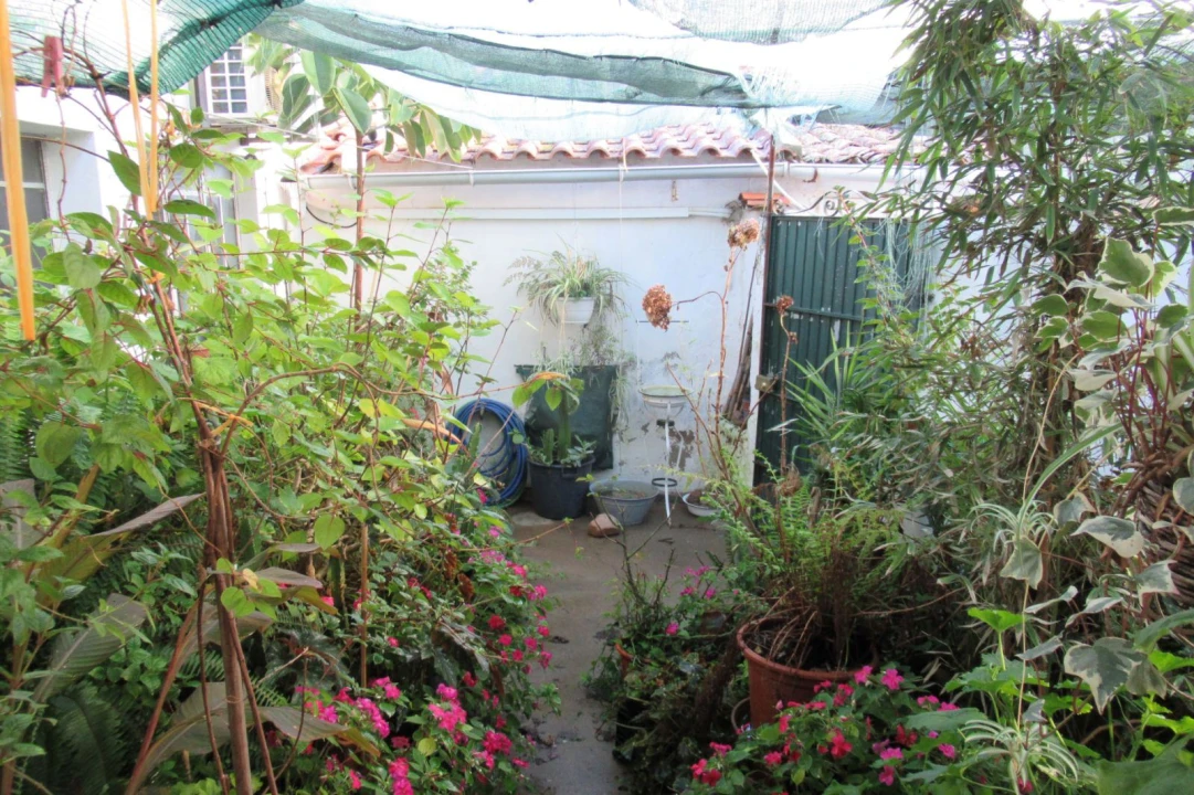 Moradia T3 para Venda em Riachos Foto 3