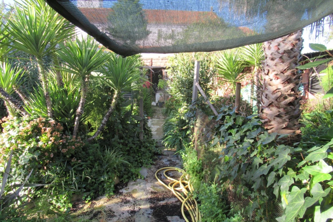 Moradia T3 para Venda em Riachos Foto 18