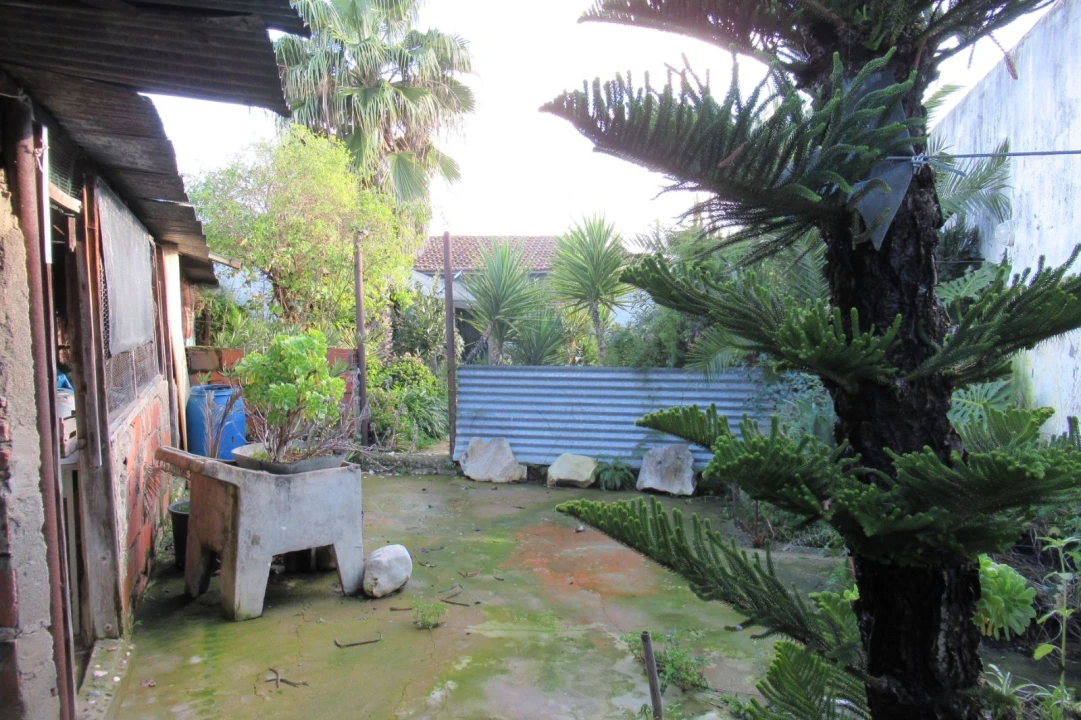 Moradia T3 para Venda em Riachos Foto 19