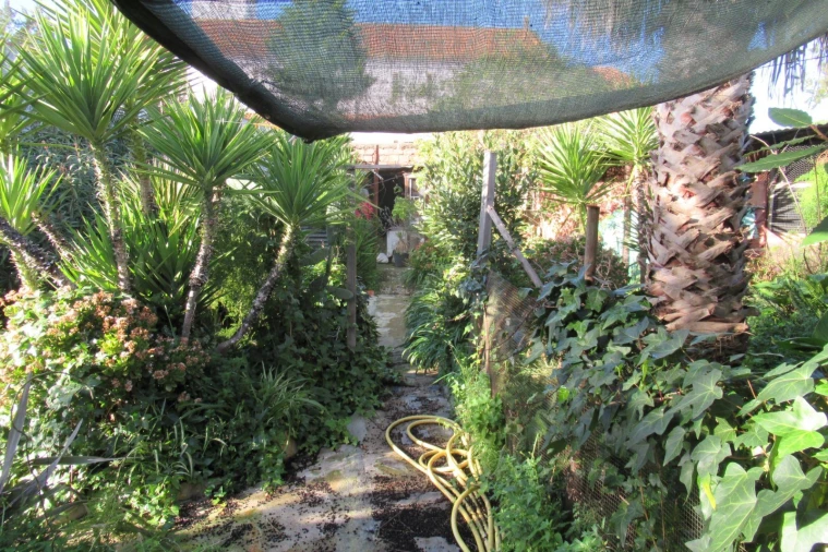 Moradia T3 para Venda em Riachos Foto 18