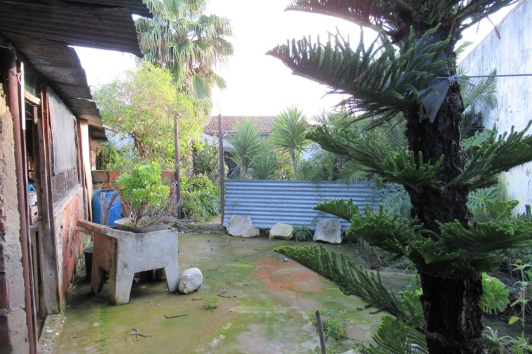 Moradia T3 para Venda em Riachos Foto 19