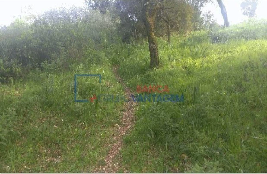 Terreno para Venda em Carregueiros Foto 4