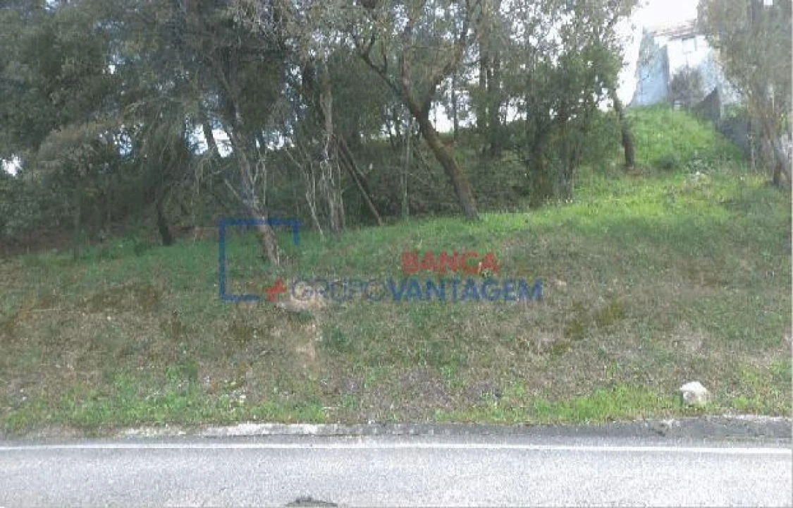 Terreno para Venda em Carregueiros Foto 5