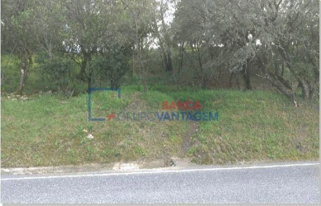 Terreno para Venda em Carregueiros Foto 1