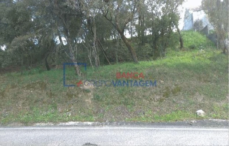 Terreno para Venda em Carregueiros Foto 5