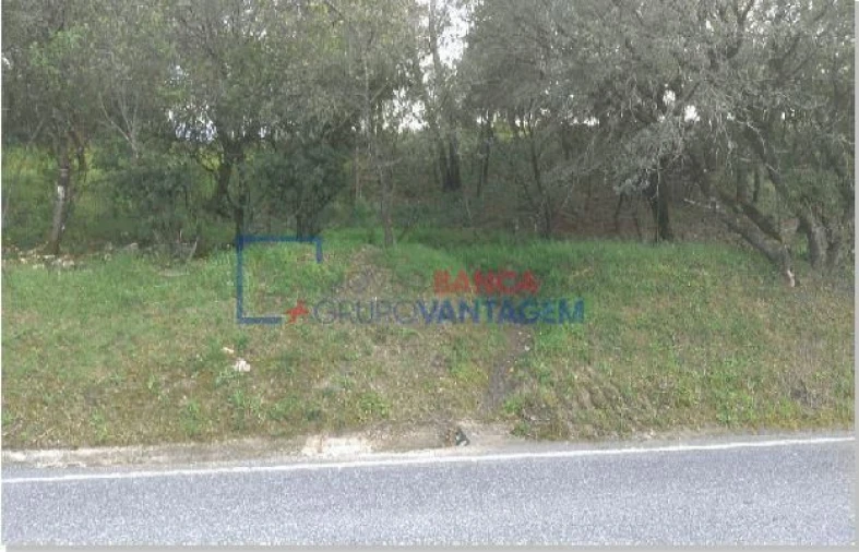 Terreno para Venda em Carregueiros Foto 1