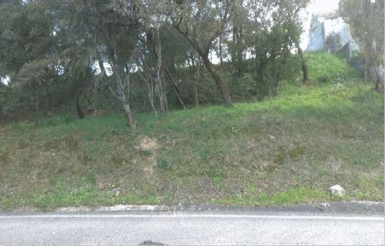 Terreno para Venda em Carregueiros Foto 3