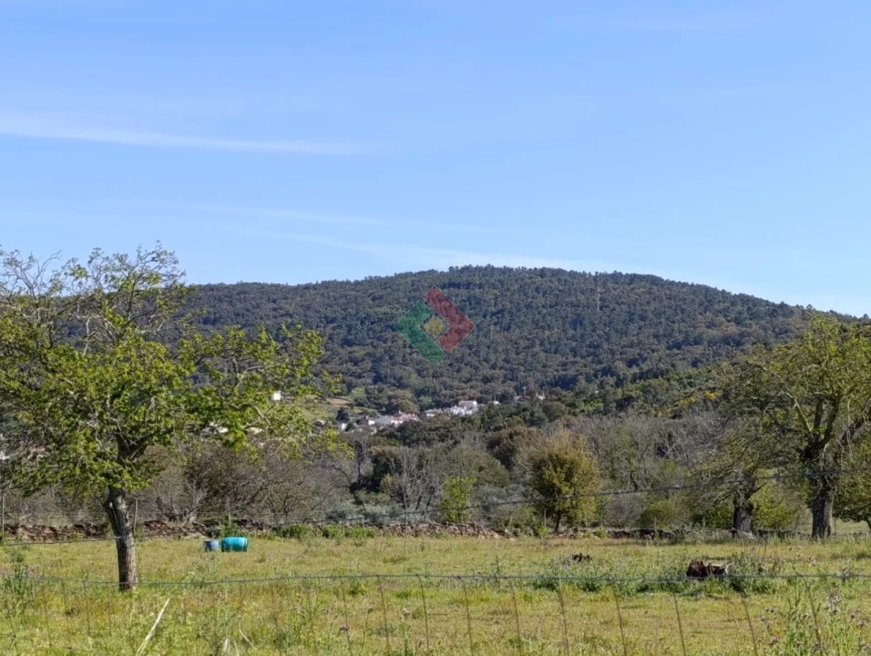 Terreno Agricola ou Rústico para Venda em São Salvador da Aramenha Foto 1