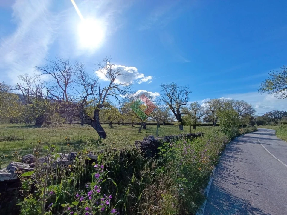 Terreno Agricola ou Rústico para Venda em São Salvador da Aramenha Foto 3