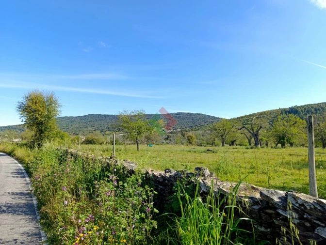 Terreno Agricola ou Rústico para Venda em São Salvador da Aramenha Foto 4