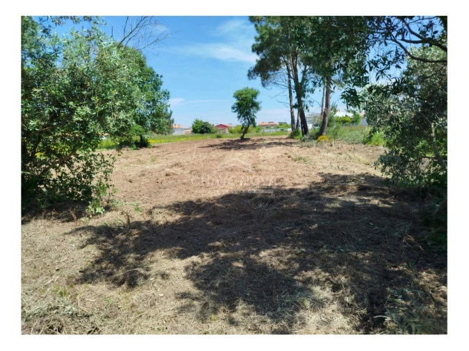 Terreno P/ Prédio para Venda em Ouca Foto 3
